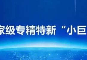 我司榮獲國(guó)家級(jí)專精特新“小巨人”企業(yè)榮譽(yù)